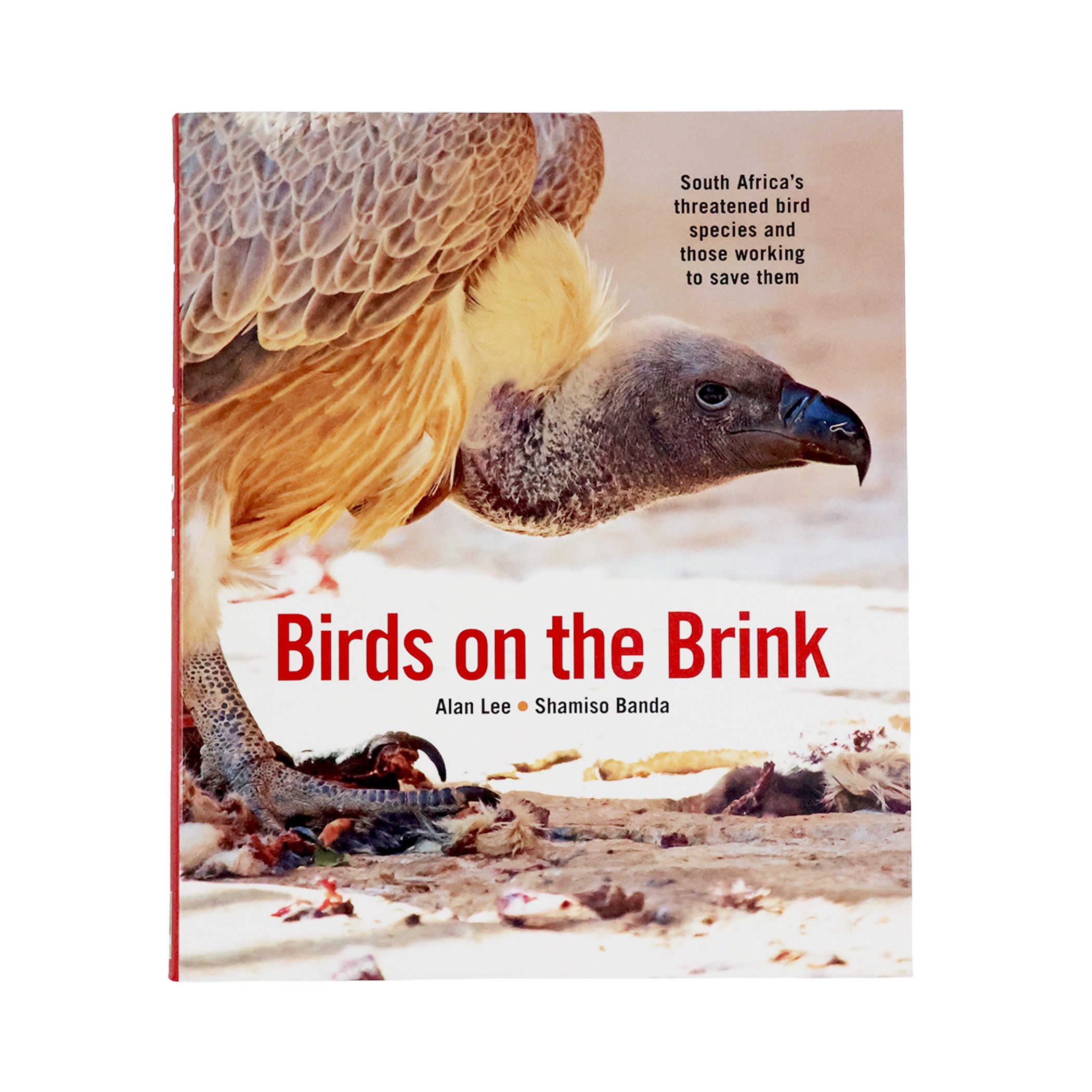 Birds on the Brink