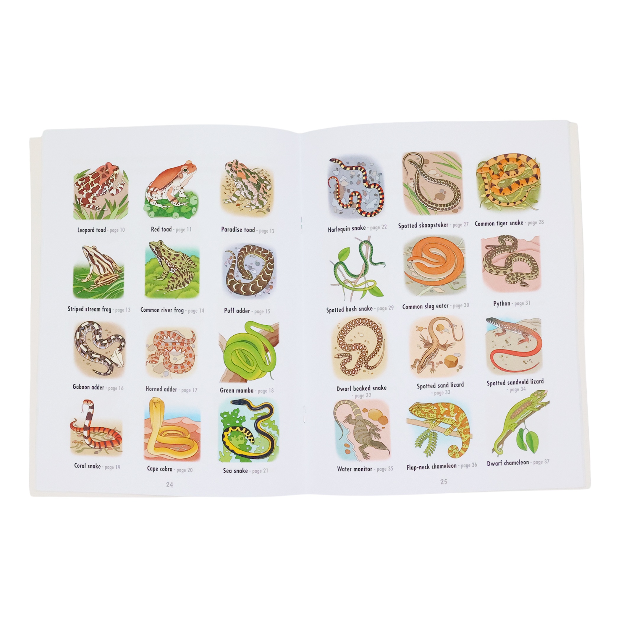 African Reptiles & Frogs: To Read, Colour and Keep - Image 4