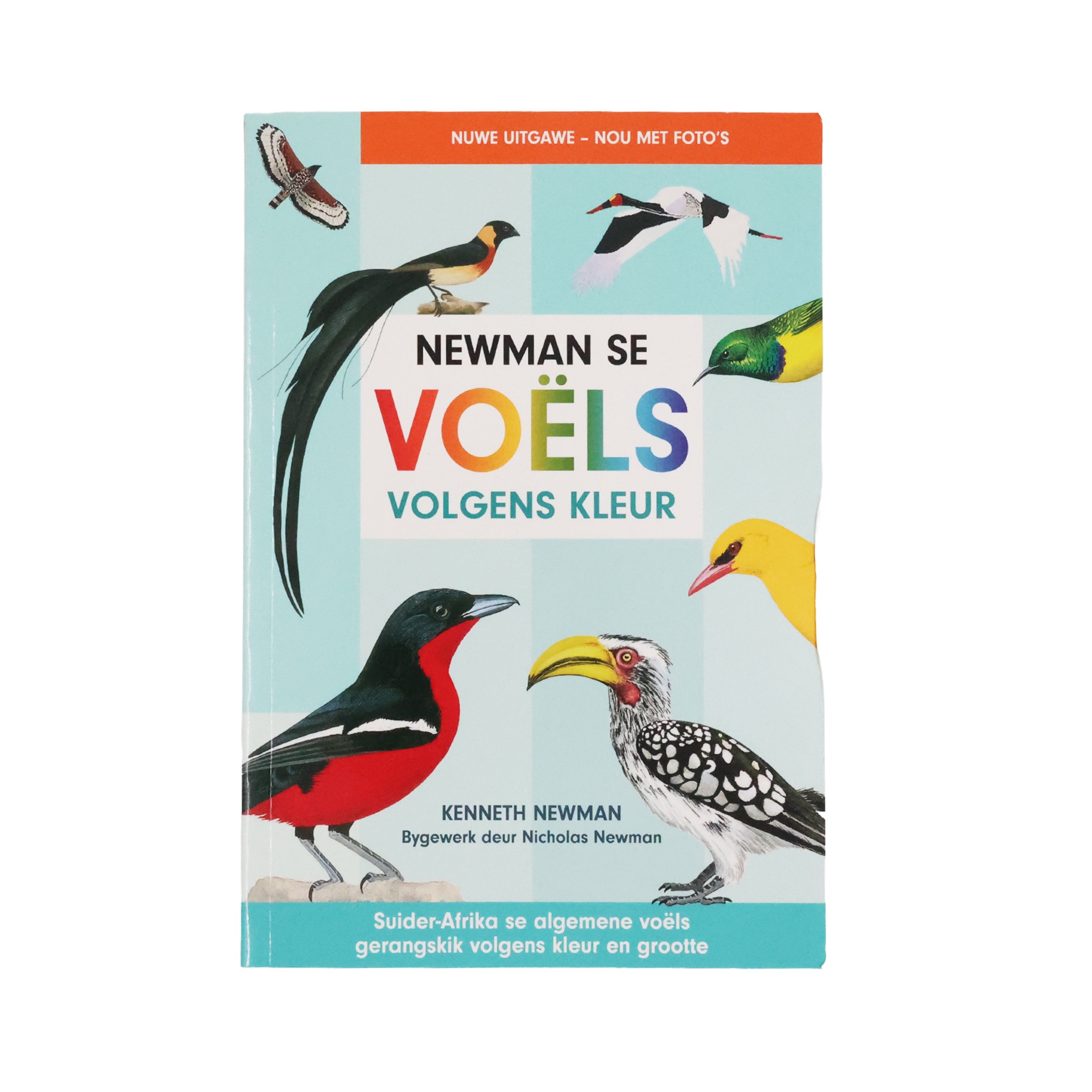 Newman’s Birds by Colour - Image 2
