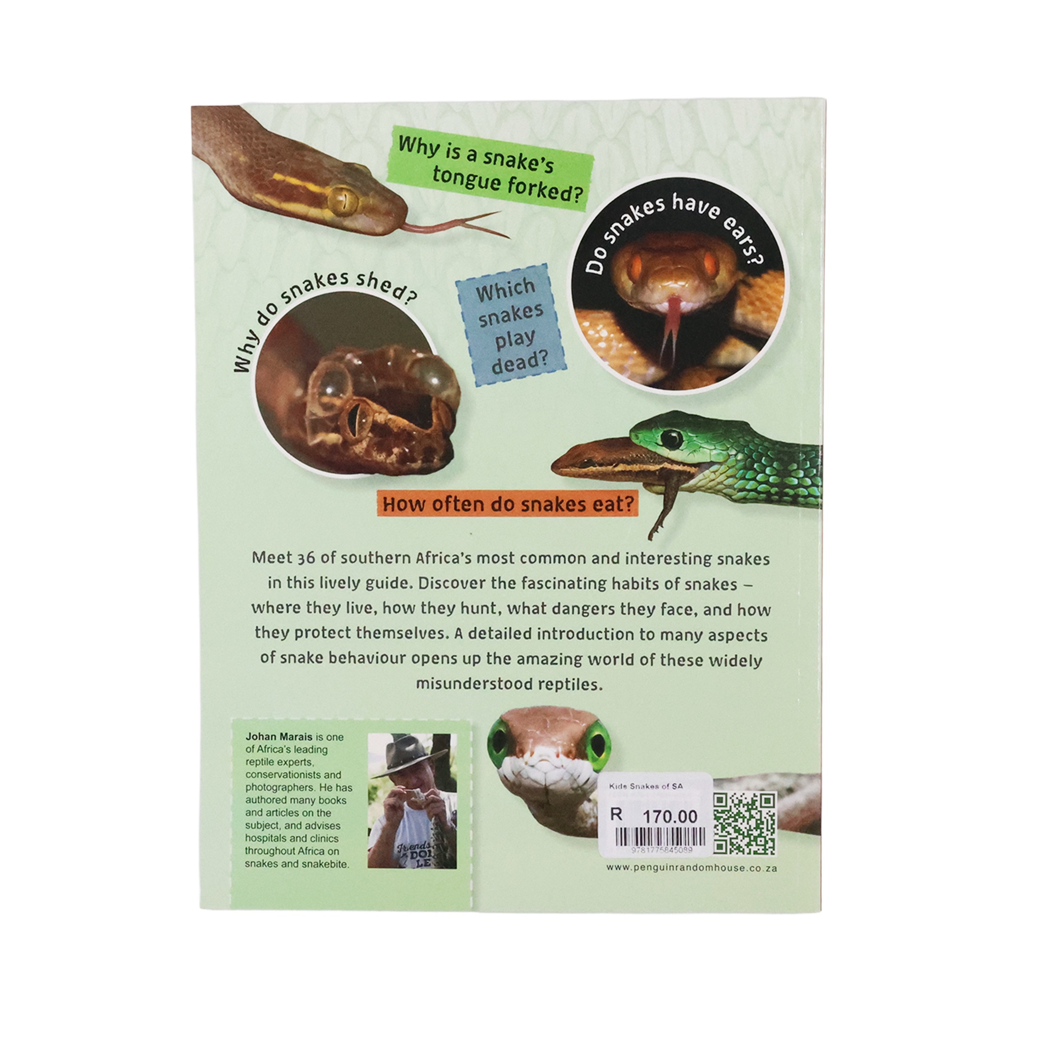 Kids’ Snakes (Afrikaans or English Version) - Image 2