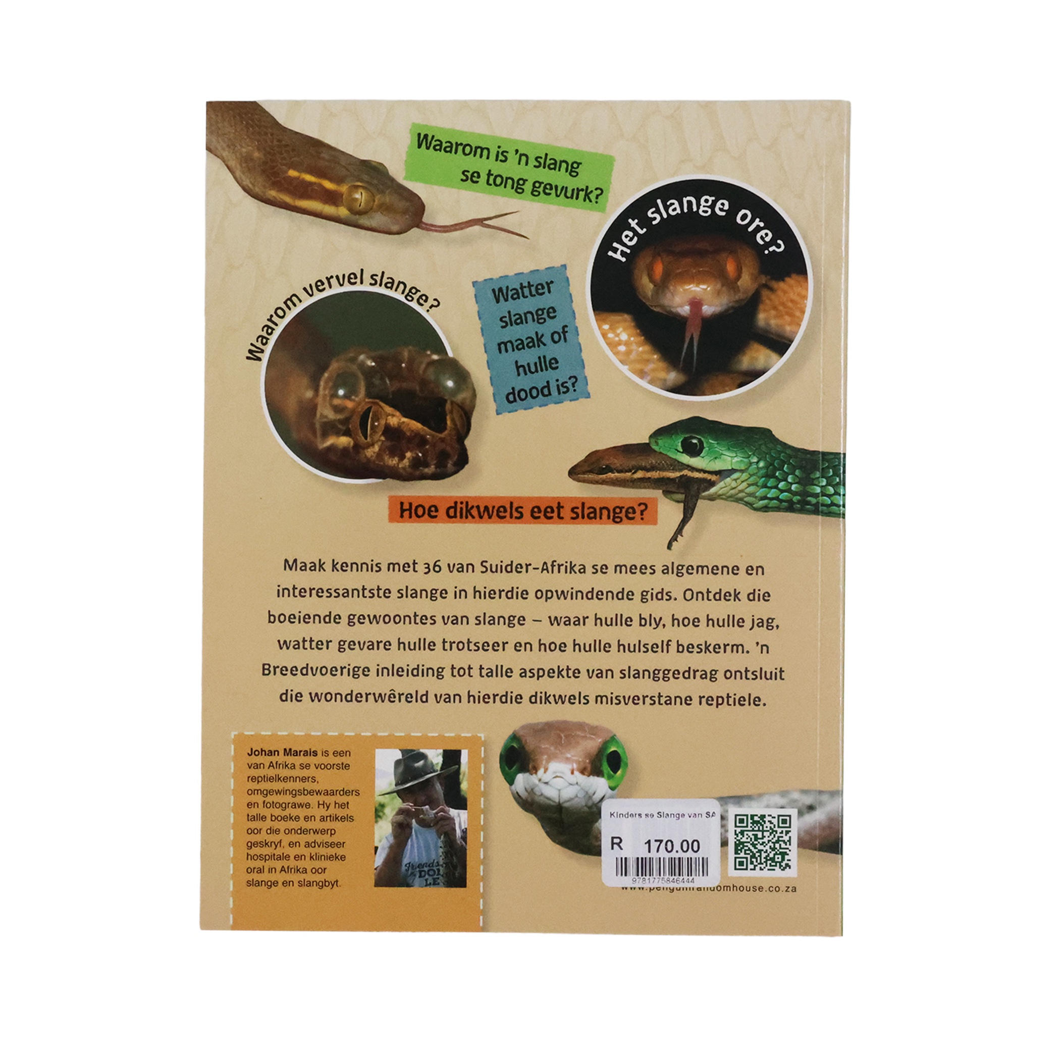Kids’ Snakes (Afrikaans or English Version) - Image 4