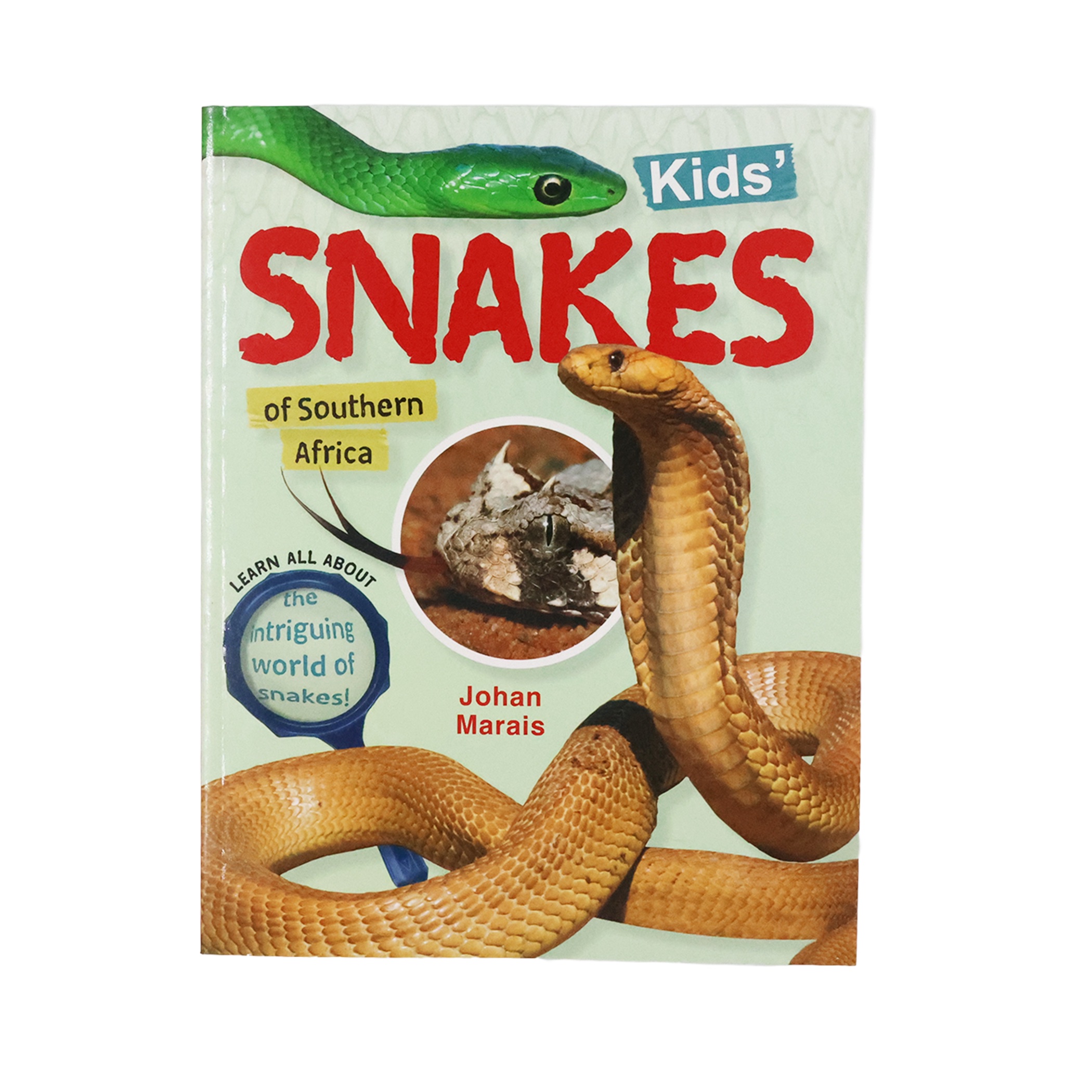 Kids’ Snakes (Afrikaans or English Version) - Image 3