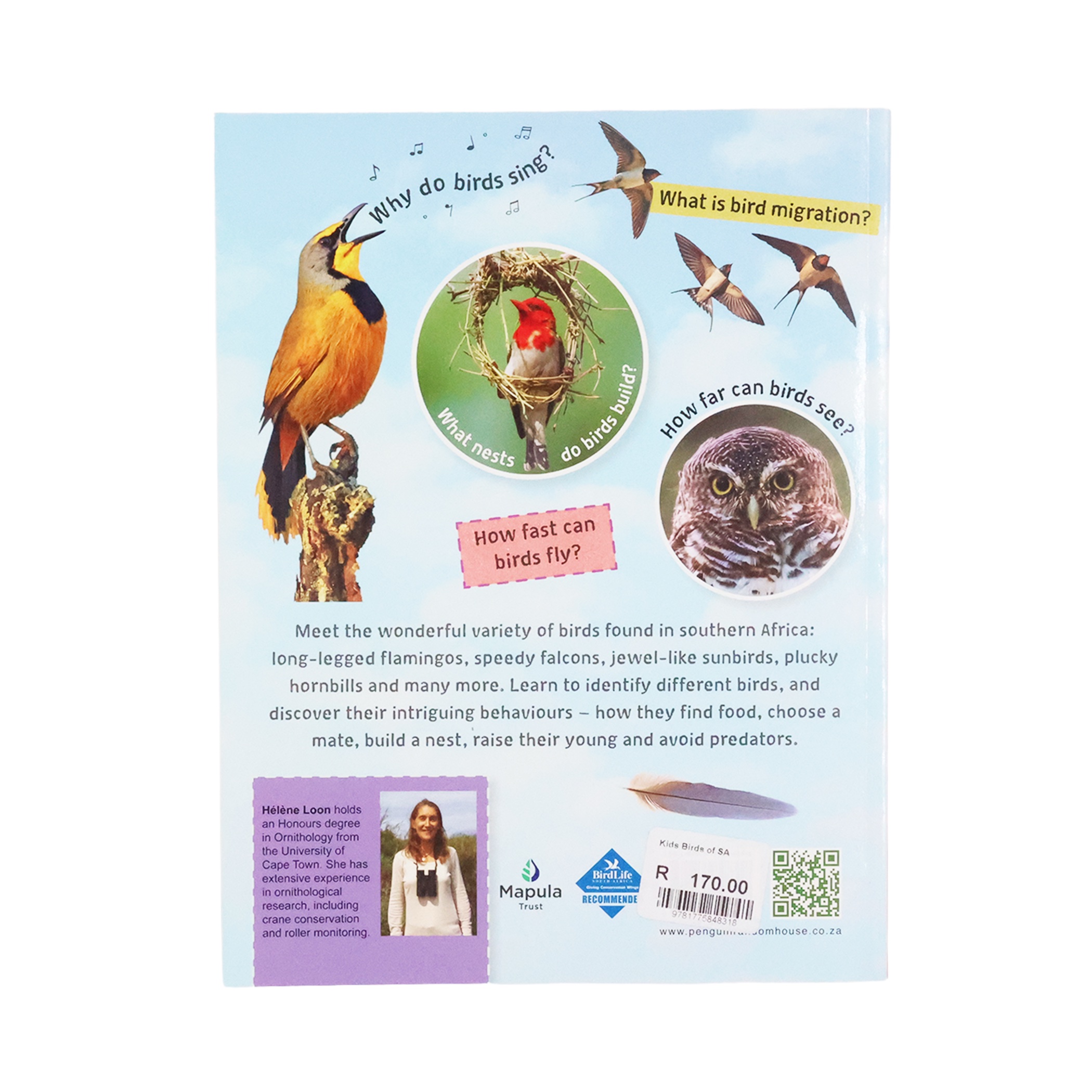 Kids’ Birds of Southern Africa (Afrikaans or English) - Image 5