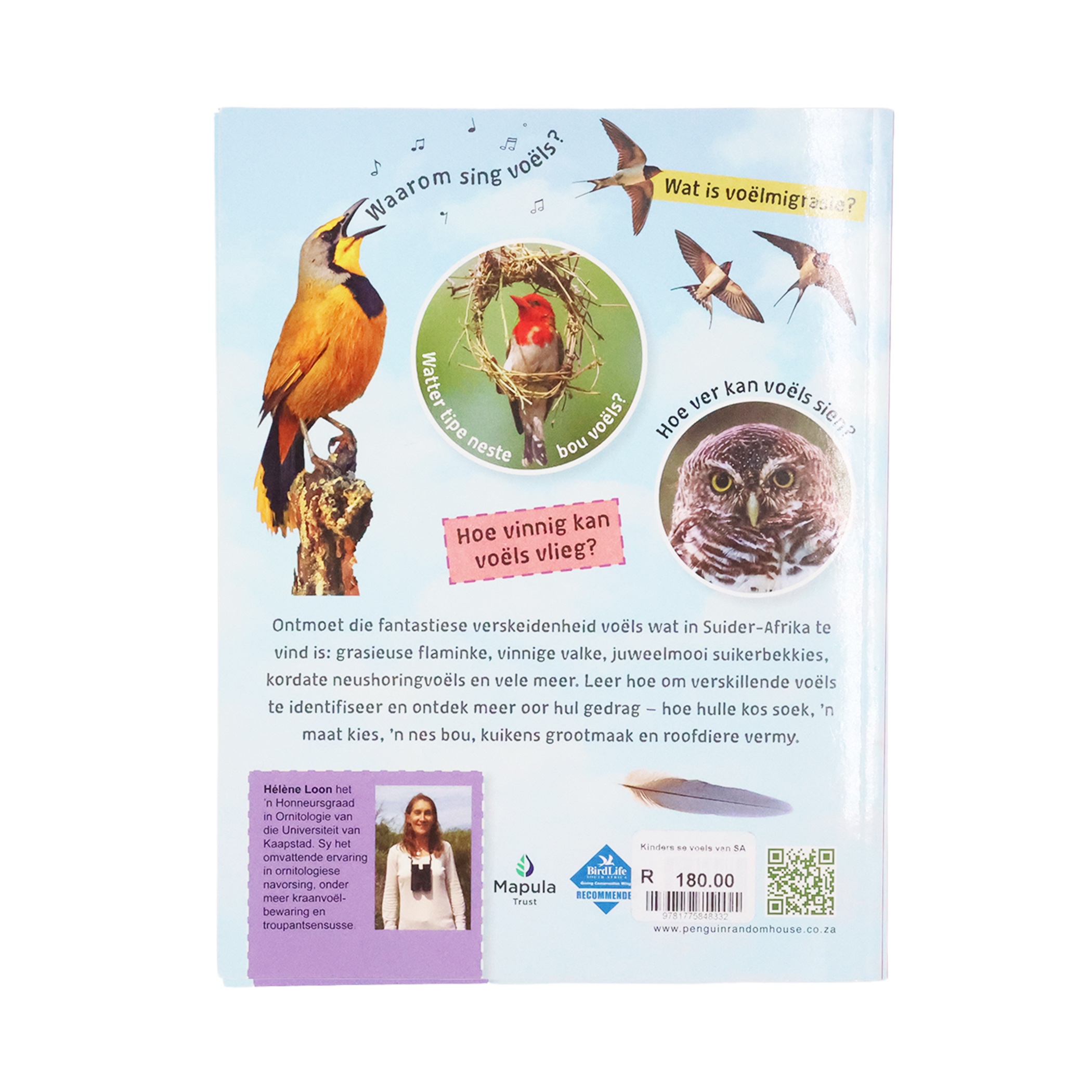Kids’ Birds of Southern Africa (Afrikaans or English) - Image 3